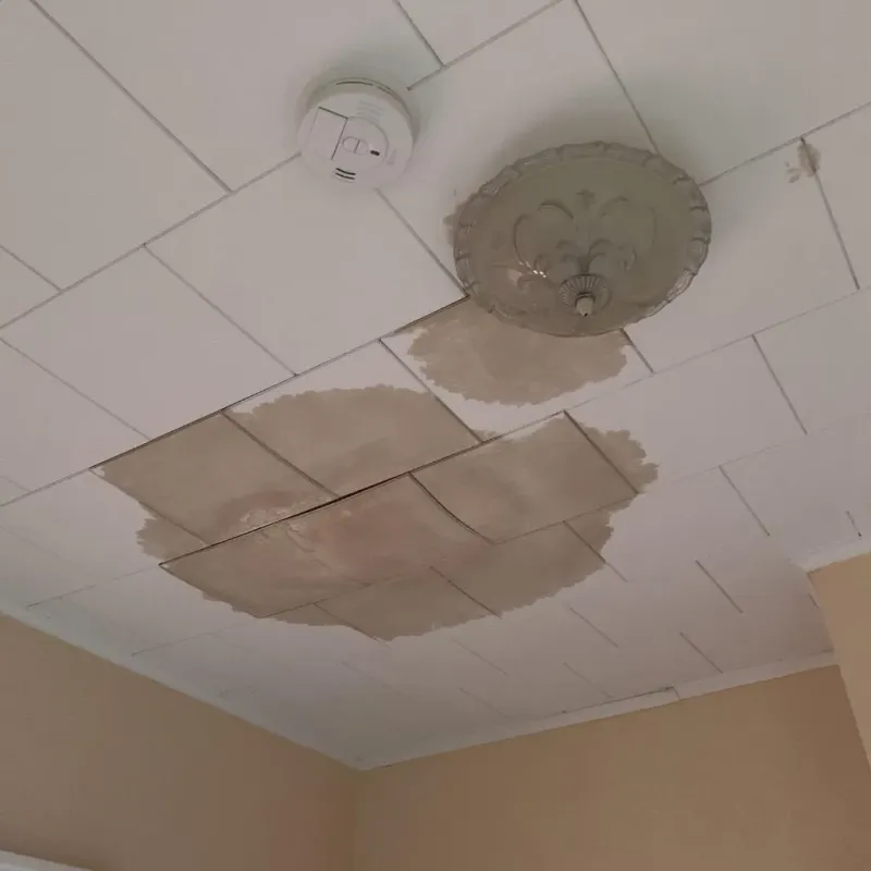 Ceiling Water Damage Repair in Dedham, MA