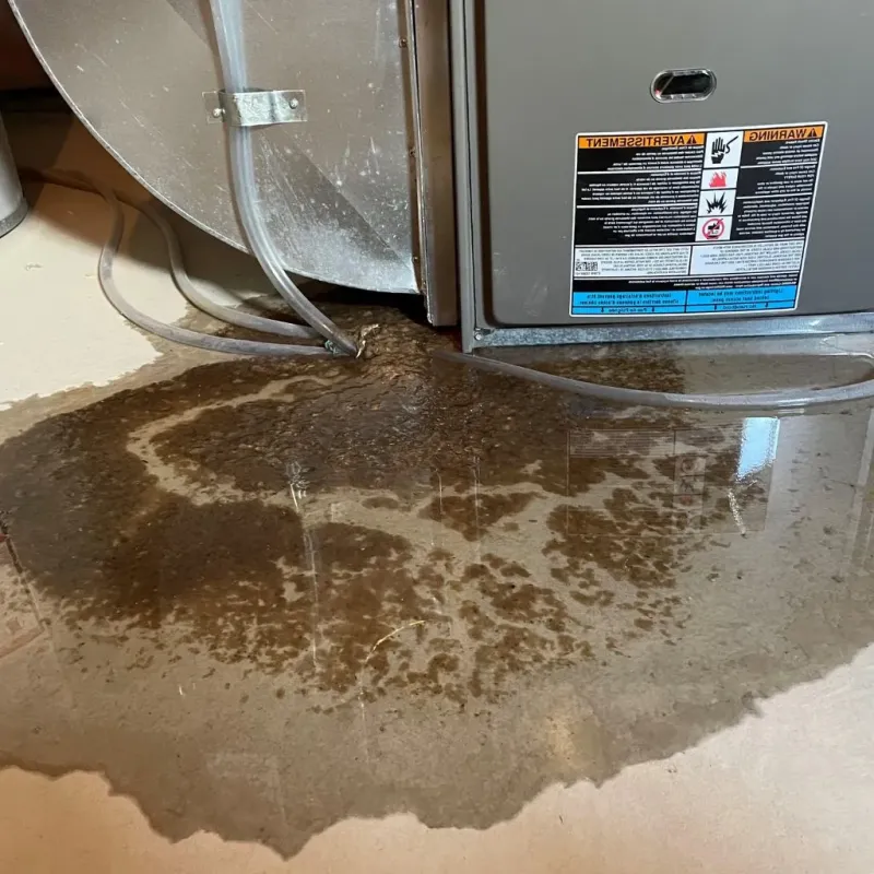 Pipe Burst and Leak Restoration in Dedham, MA